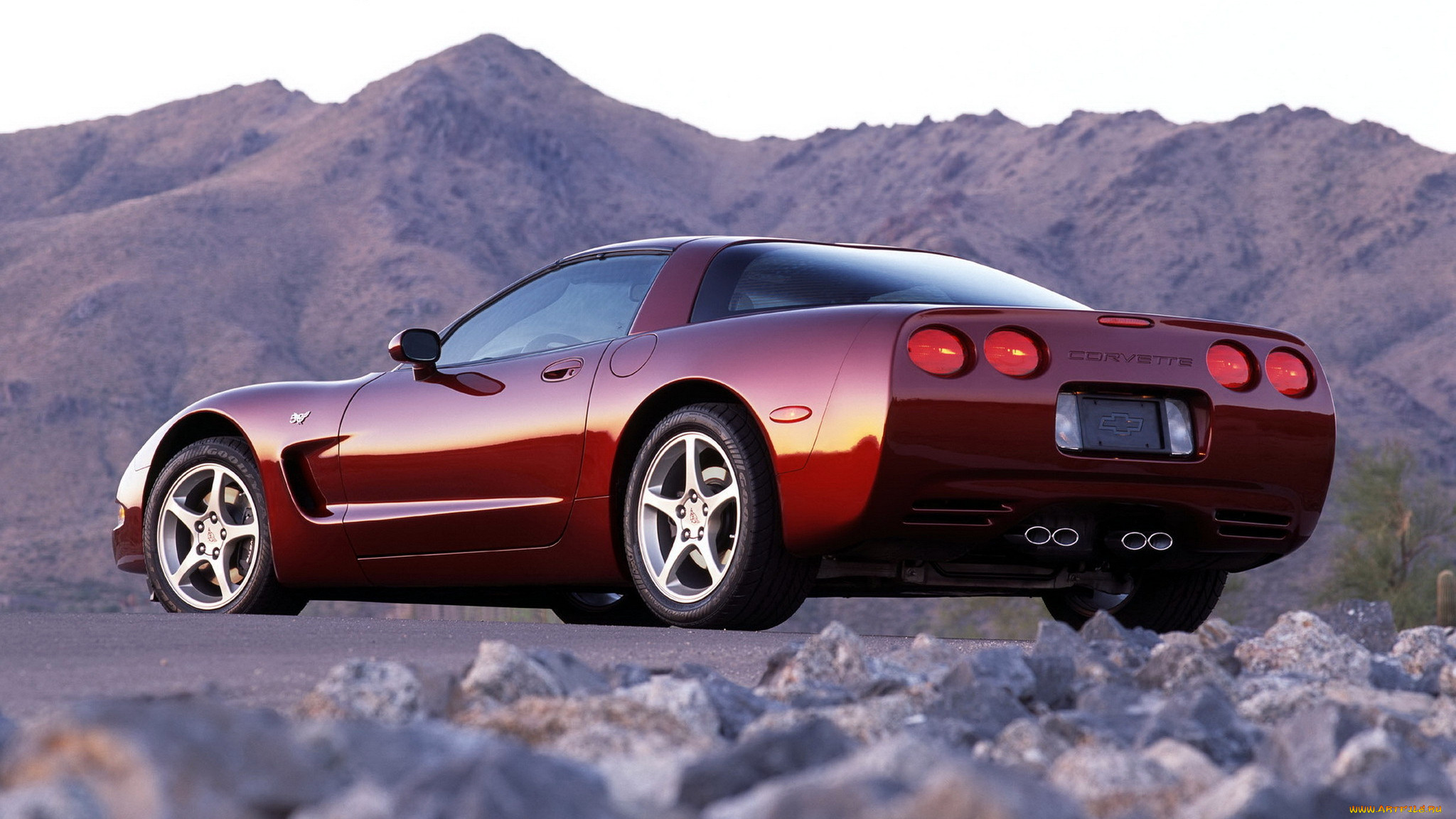 corvette, , general, motors, , 